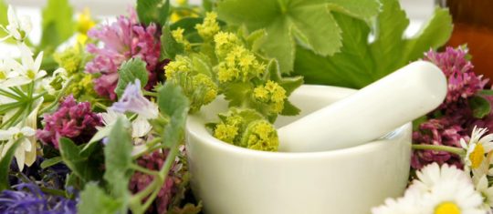 Soigner avec les plantes