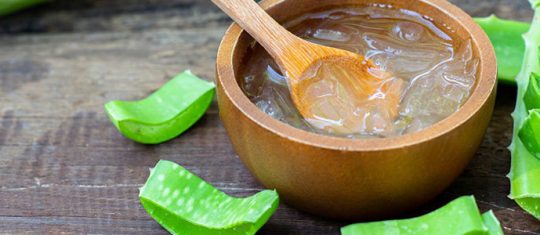 Aloe vera