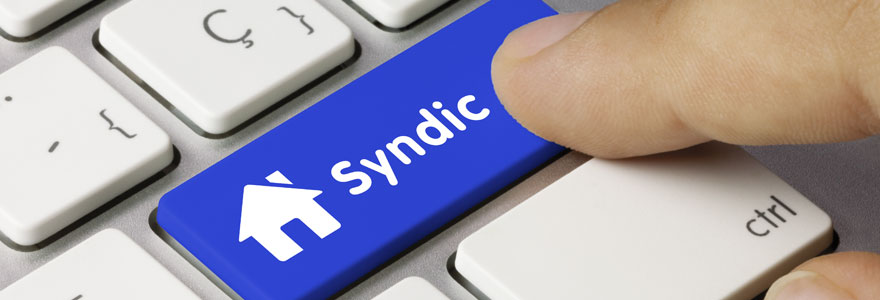 Syndic professionnel