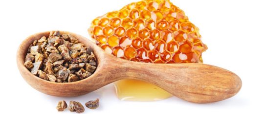 La propolis
